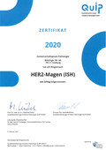 2020 Ringversuch HER2 Magen s-1