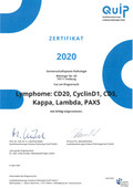 2020 Zertifikat&Auswertung Lymphome s-1