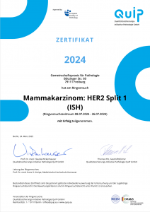 Zertifikat über erfolgreich abgeschlossenen Ringversuch der QUIP